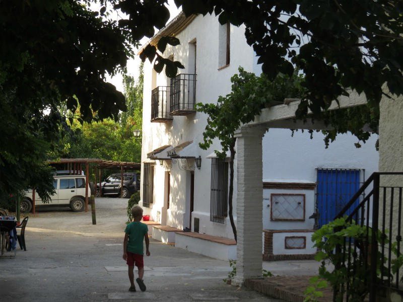 Tycho struint rond op het terrein van Cortijo Balzain