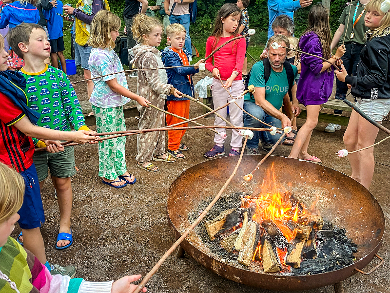 Kinderen roosteren marshmallows bij het kampvuur op camping de Roos