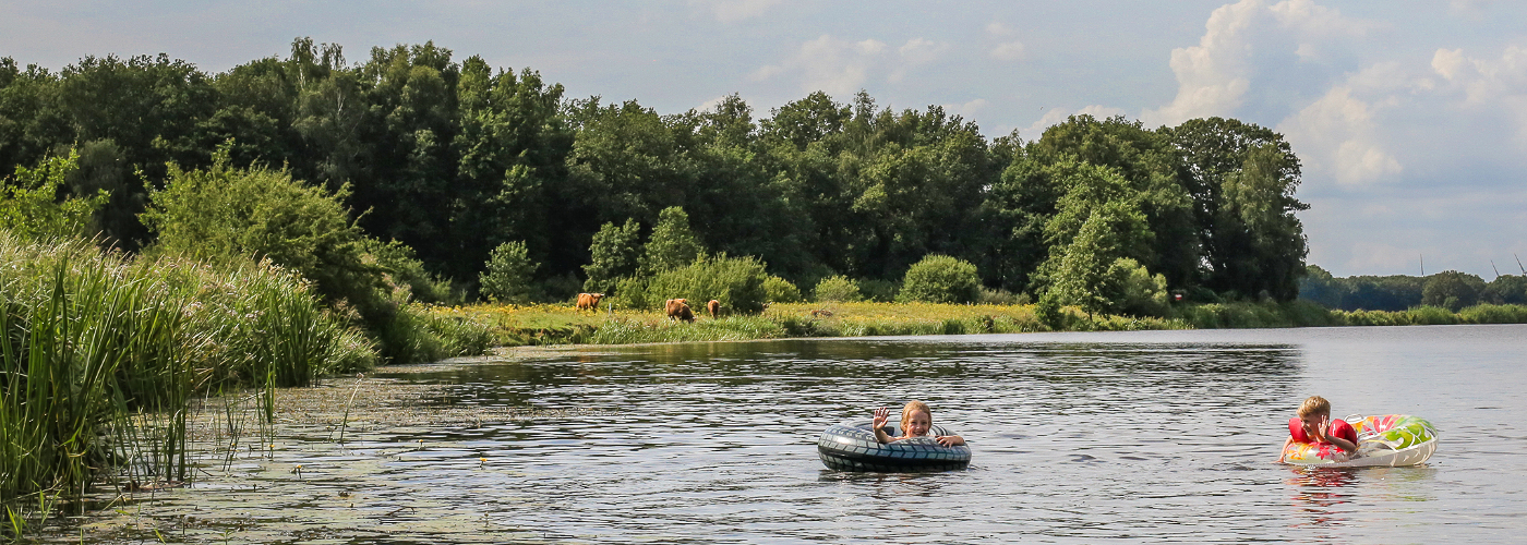 Kinderen zwemmen in de rivier de Vecht langs natuurcamping de Roos