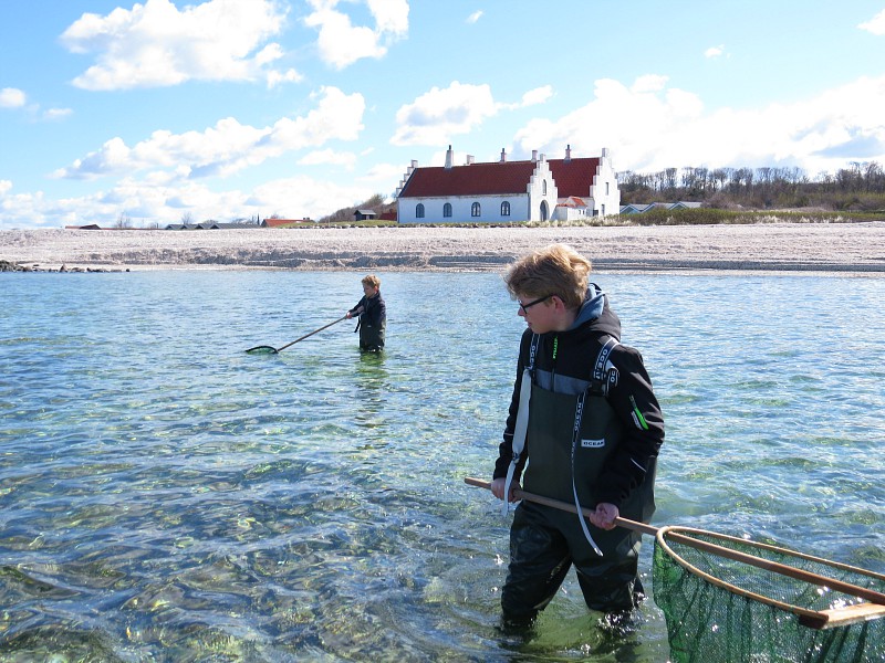 Garnalen vissen bij het Limfjord museum