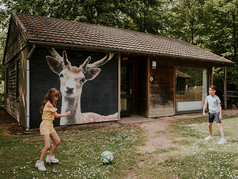 Voetballen voor Bungalow Damhert Dierenbos