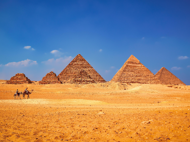 Kamelen in de woestijn nabij de indrukwekkende Egyptische Pyramides