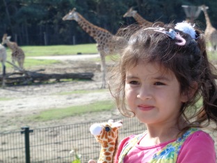 Madelief houdt van giraffen