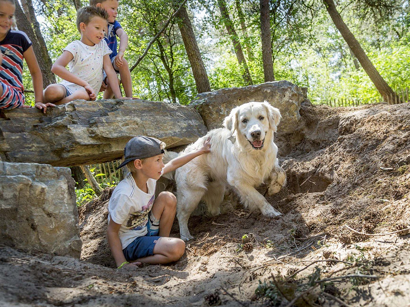 Hond en zijn baasjes spelen in de hondenspeeltuin van vakantiepark Eldorado de Bergen in Brabant