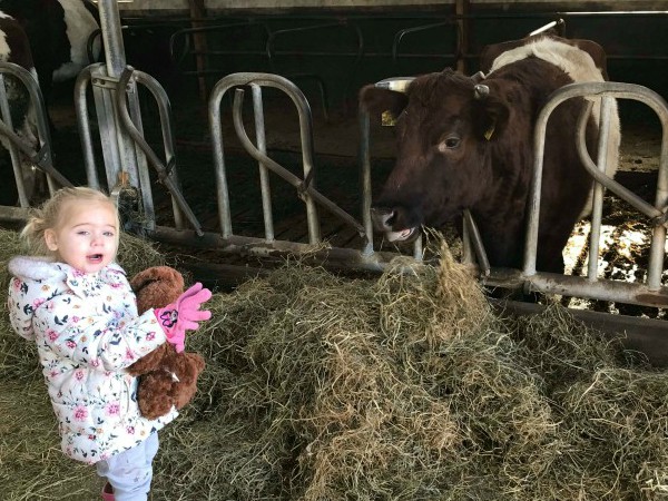 Kinderen kunnen nooit genoeg krijgen van dieren. Een bezoek aan een kinderboerderij of gewone boerderij is dus altijd een goed idee. Zeker als je op deze tips let.