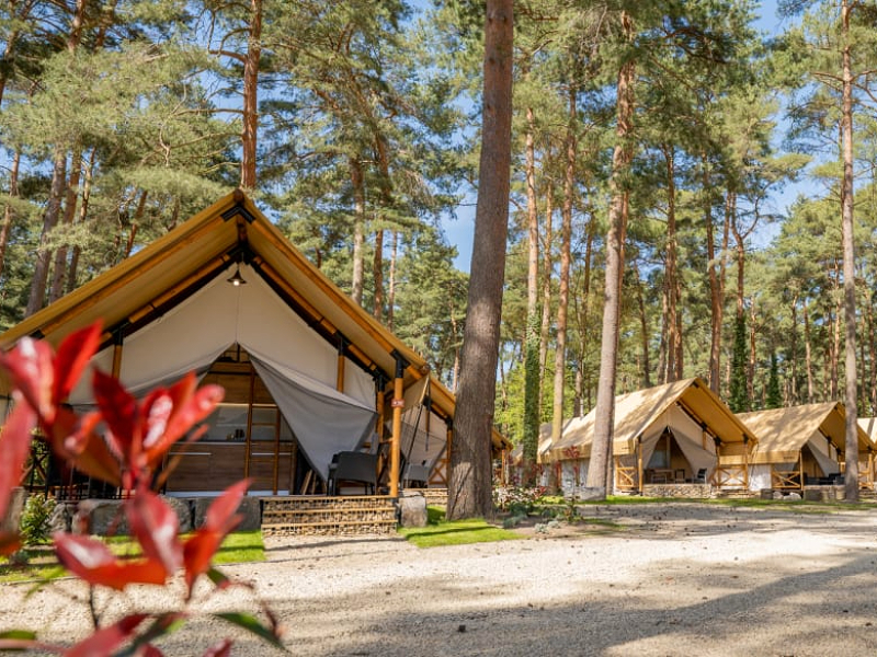 Luxe kampeertenten op vakantiepark Hoge Kempen in Belgisch Limburg
