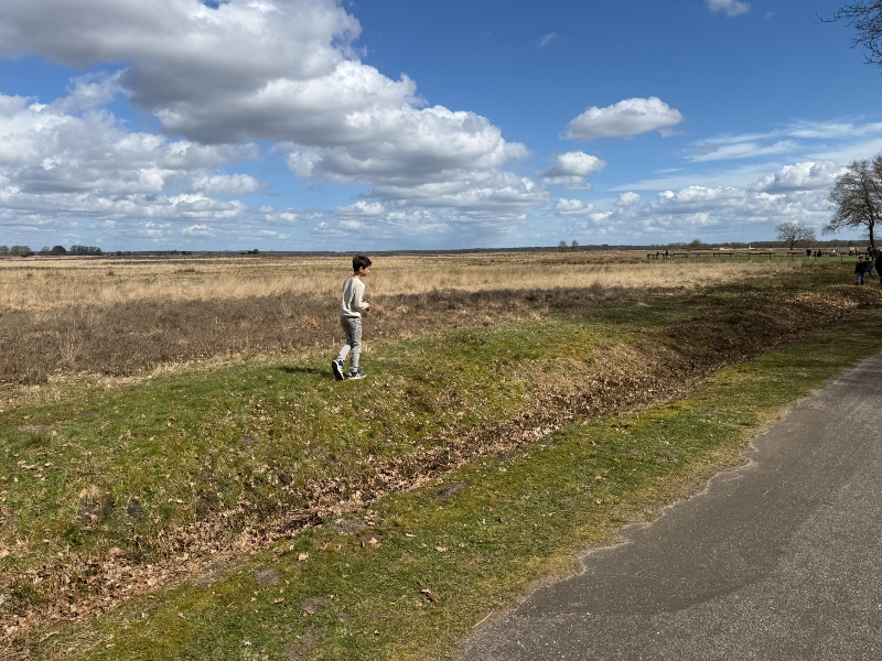 Wandelen naar de schaapskooi langs de heide in het vroege voorjaar