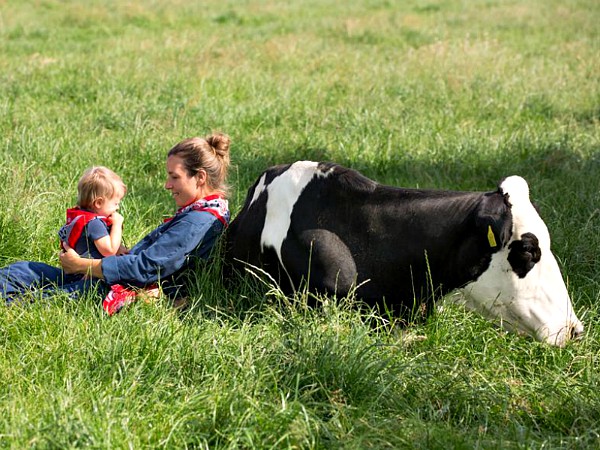 Volg een workshop koe-knuffelen op deze leuke boerderij!