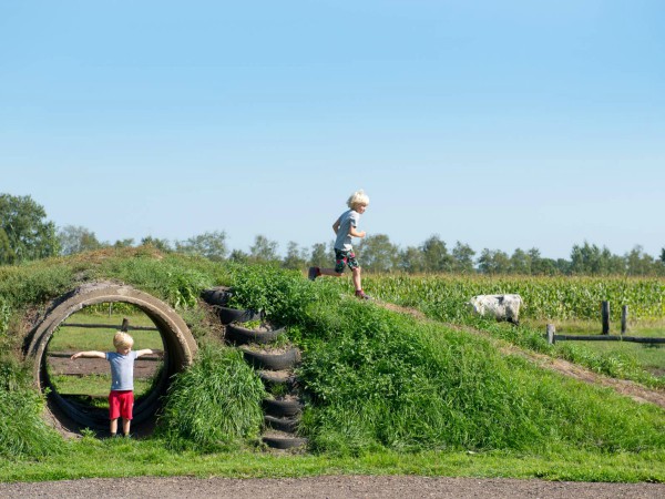 Kinderen spelen in de "leef je uit weide"