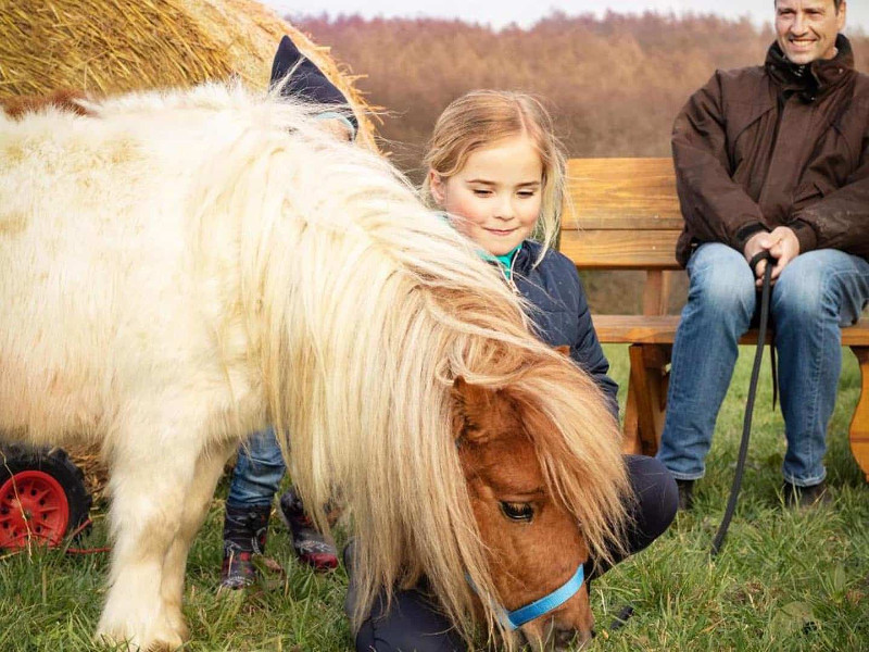 Meisje met een pony bij FarmCamps Soodehof