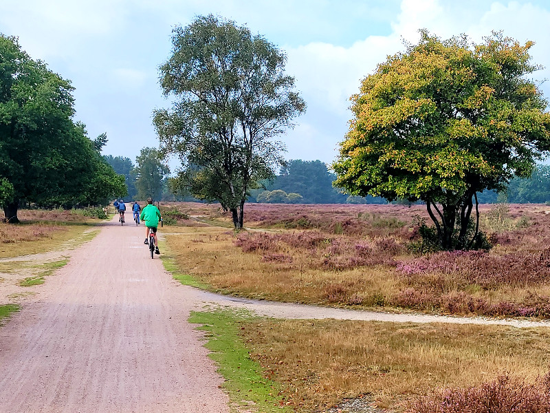 Fietsen Gooise Heide