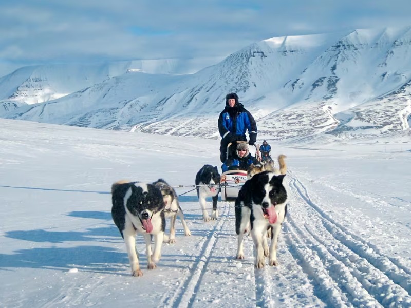 huskytocht spitsbergen