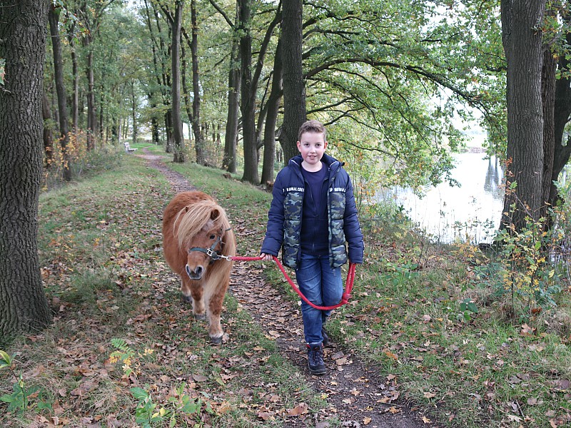 Lekker wandelen met de pony's bij Gastenverblijf Het Voorhuis