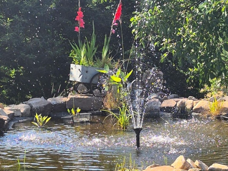 In de tuin is een mooie vijver In de tuin is een mooie vijver