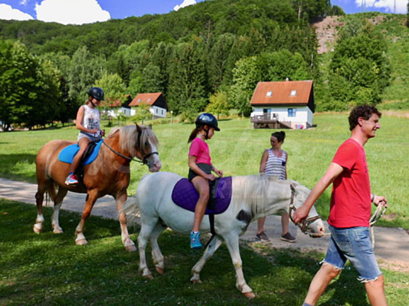 Paard rijden bij Green Valley Park