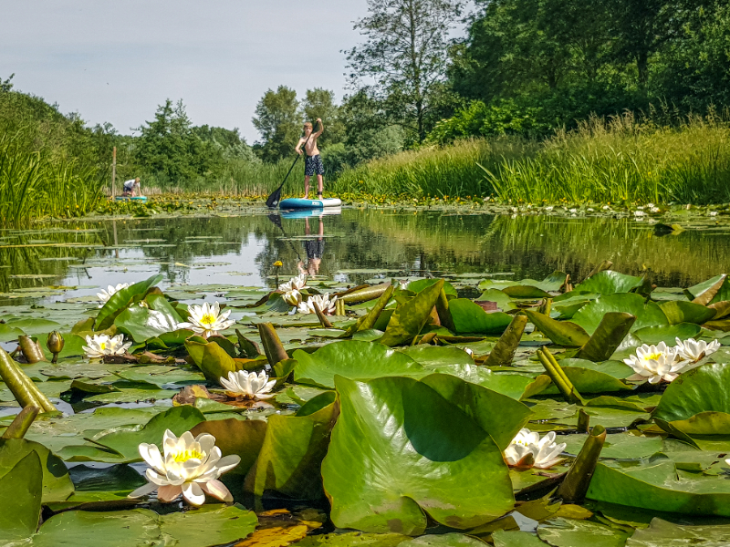 Wat is het overal mooi groen bij de Reeuwijkse Plassen