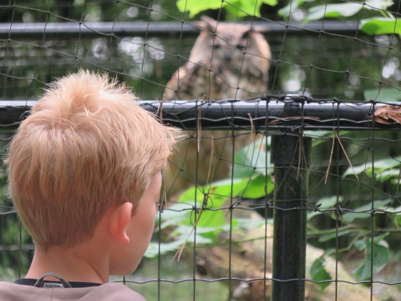Tycho bewondert de uilen in het wildpark