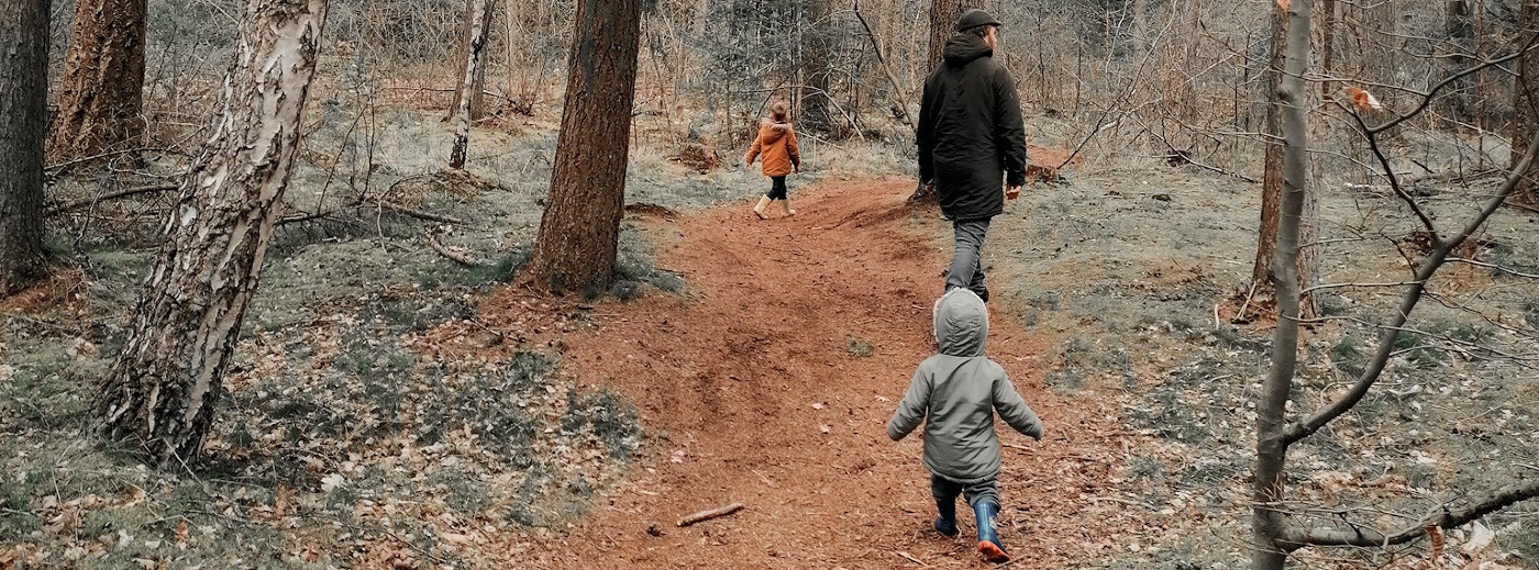 Wandelen in het Elfbergenbos