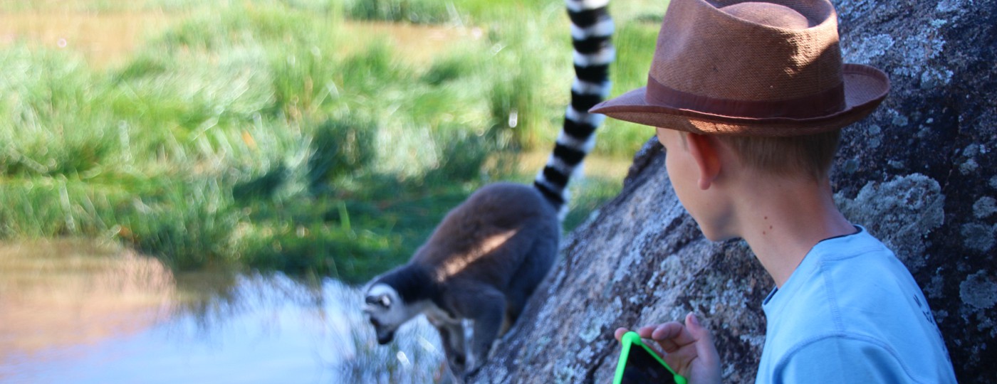 Tycho bij een Ringstaartmaki in Madagaskar
