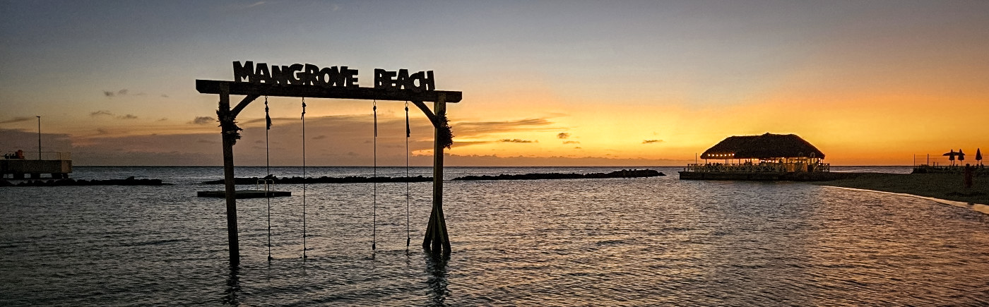 mangrove beach bij zonsondergang