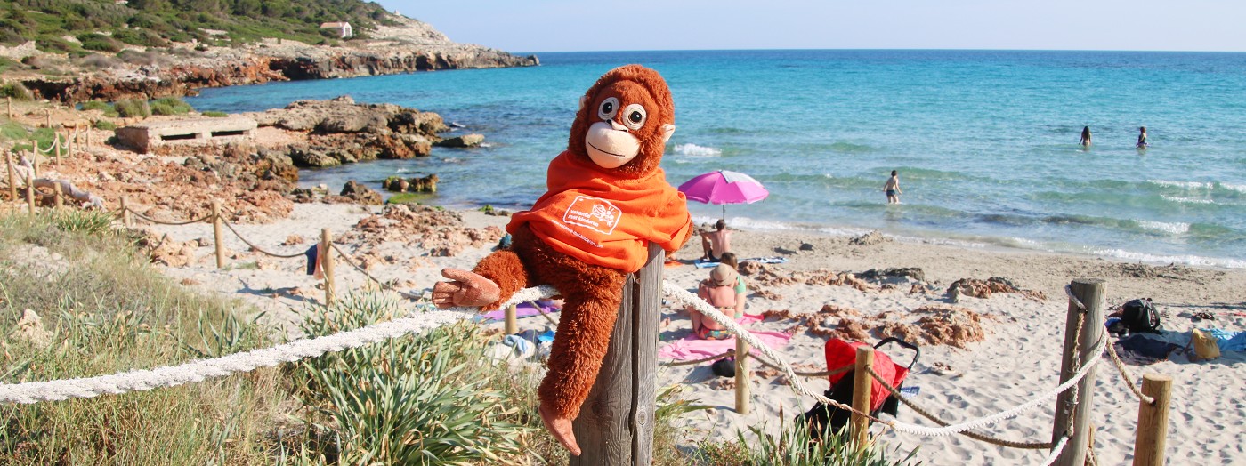 Apie van Vakantie met Kinderen op het strand van Son Bou in Menorca