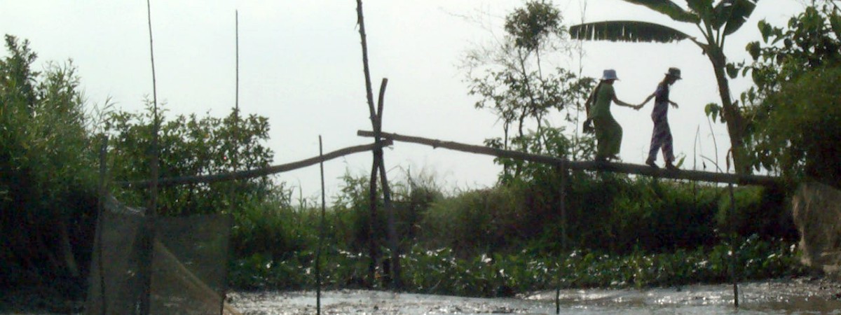 Bruggetje in de Mekong-delta, Vietnam