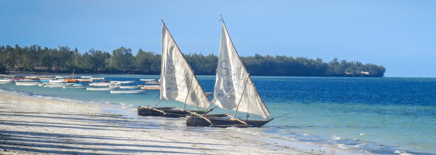Traditionele Dhows op het strand van Zanzibar