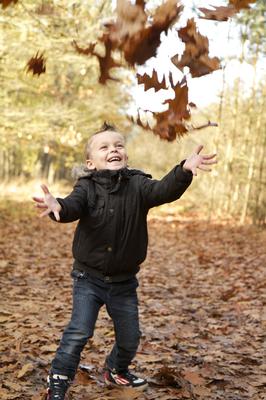 herfst op de veluwe