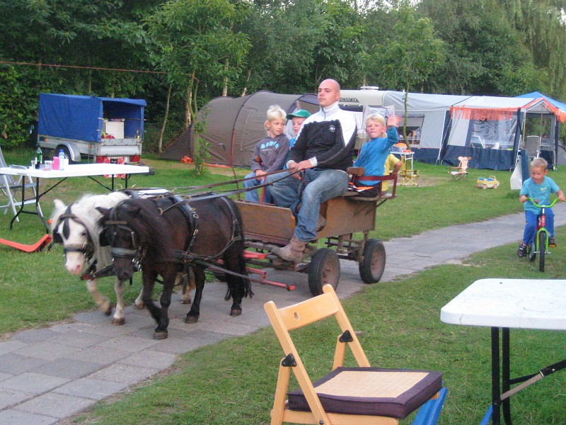 Iedere middag komt de kar met mini pony´s rondjes rijden