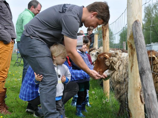 Schapen voeren bij Hoeve Schapenkop