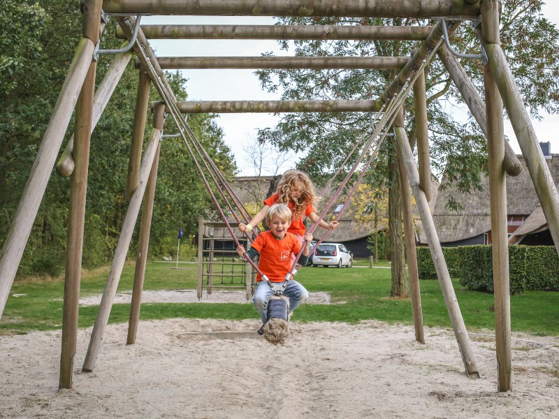 De kinderen van Elisbeth op de grote schommel achter de kinderboerderij, Hof van Saksen