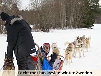 Tocht met huskyslee in Zweden