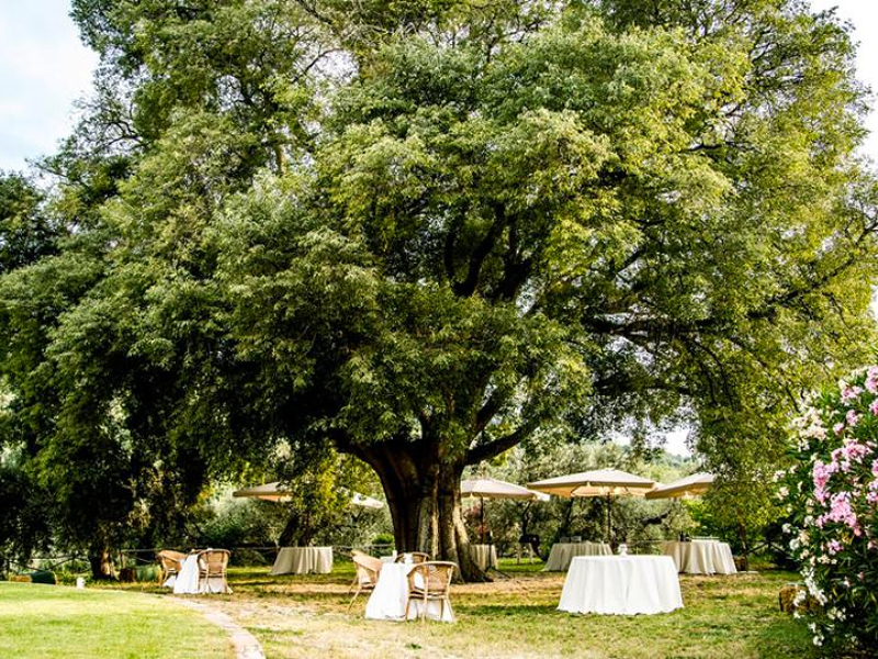 Geniet van de schaduw onder deze mooie oude boom bij agriturismo Il Bagolaro