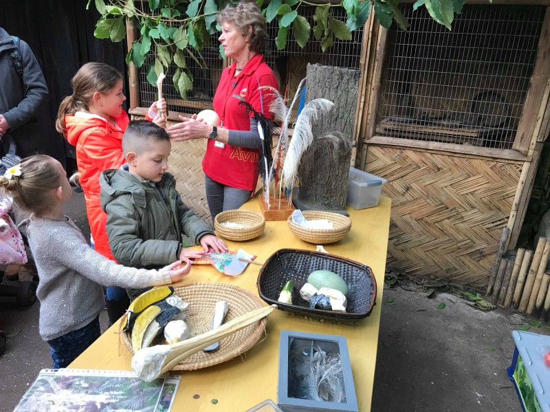Uitleg op kinderniveau in Avifauna
