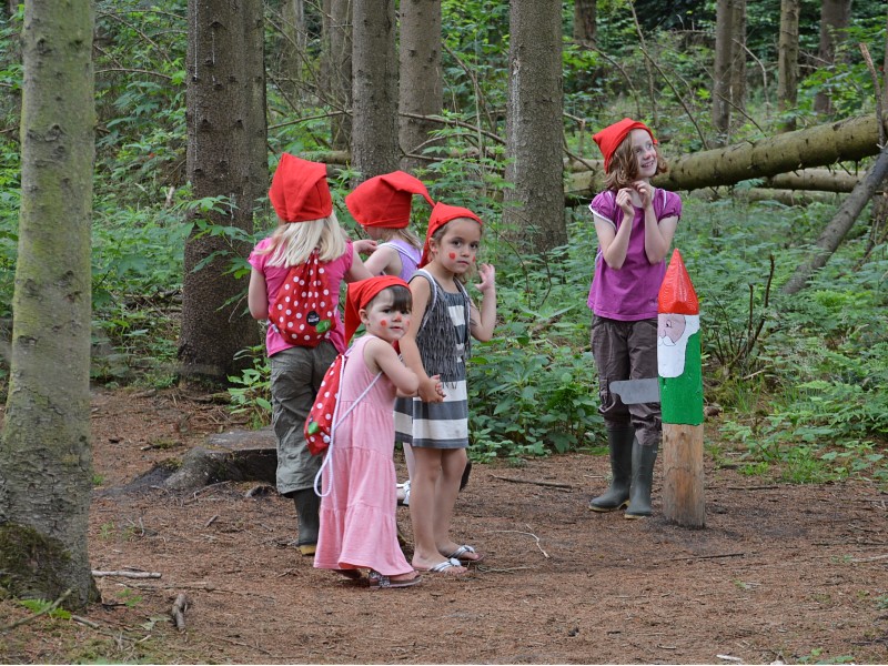 Een superleuk kabouterpad in het bos Een superleuk kabouterpad in het bos