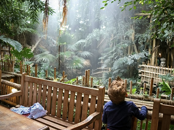 Zomaar ineens een tropische regenbui in de Jungle Dome van Center Parcs Heijderbos!