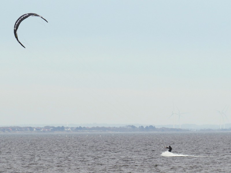 Kitesurfen op het Ringkobing Fjord, ook tof voor tieners!