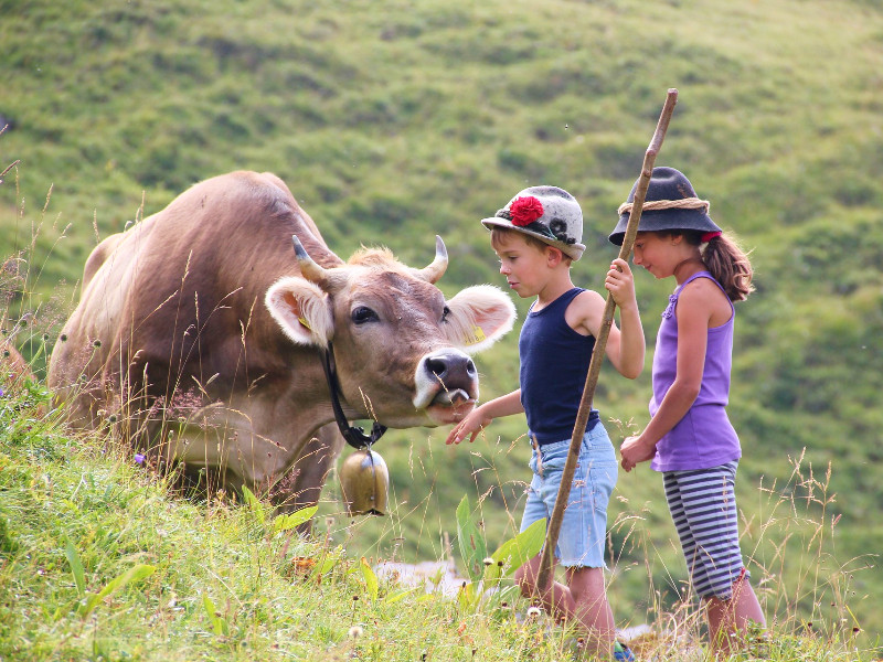 Kids in de Alpen bij de koe