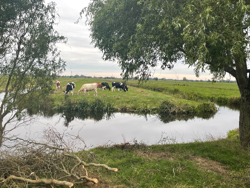 Midden in het Groene Hart ligt deze heerlijke sauna