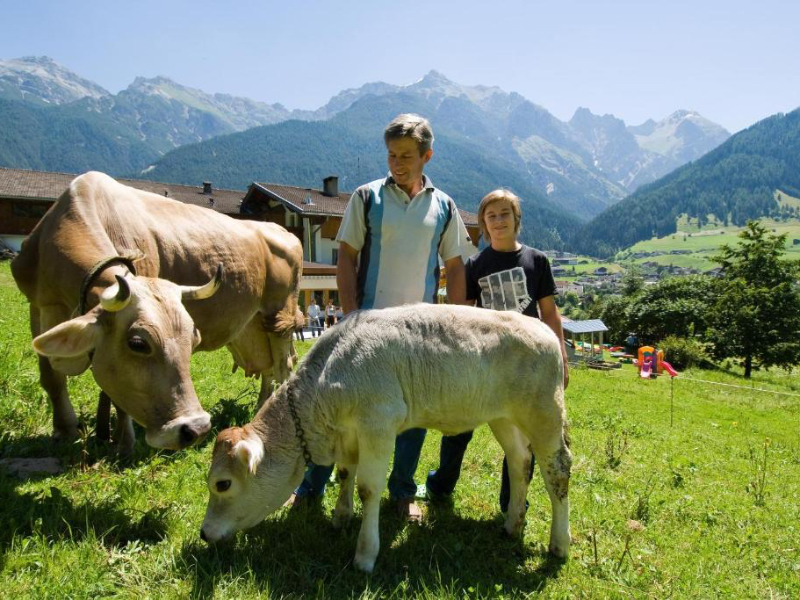 Boerderijvakantie Ladestatthof in  Neustift im Stubaital Tirol OOstenrijk