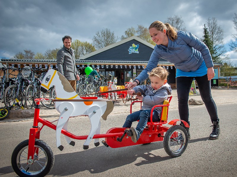 Bijzondere kinderfiets met paard