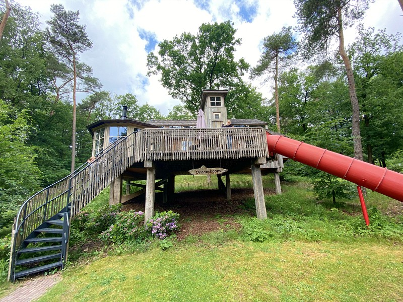 De droomboom van Landal Miggelenberg