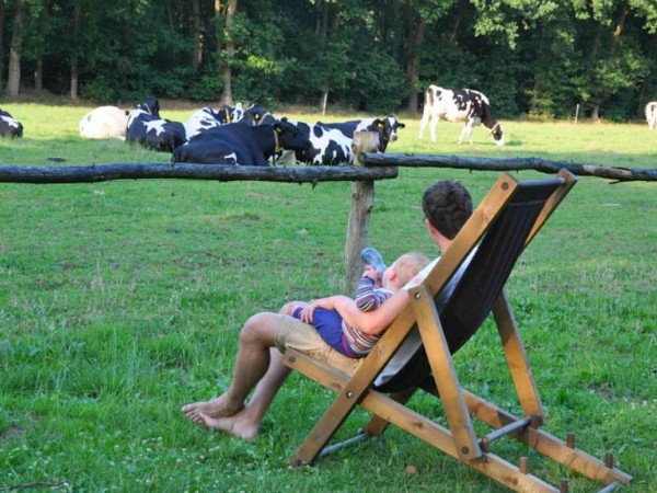 Vader geeft kindje eten met uitzicht op de koeien