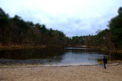 Een vennetje in de Loonse en Drunense duinen in de winter           (foto: Immeathome)