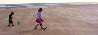 verrassing op gang brengen Materialisme Met een schepnet op zoek naar de schatten van de zee.....