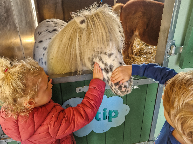 Stip de pony aaien met de kinderen op het kindvriendelijke vakantiepark Molenwaard