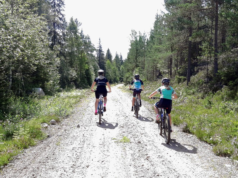 Met de mountainbike op pad in Zweden