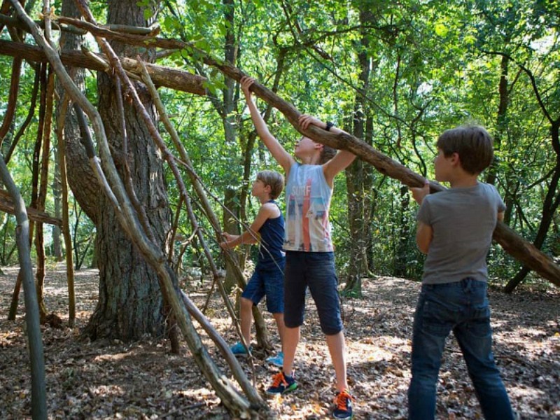 natuurcamping lemeler esch