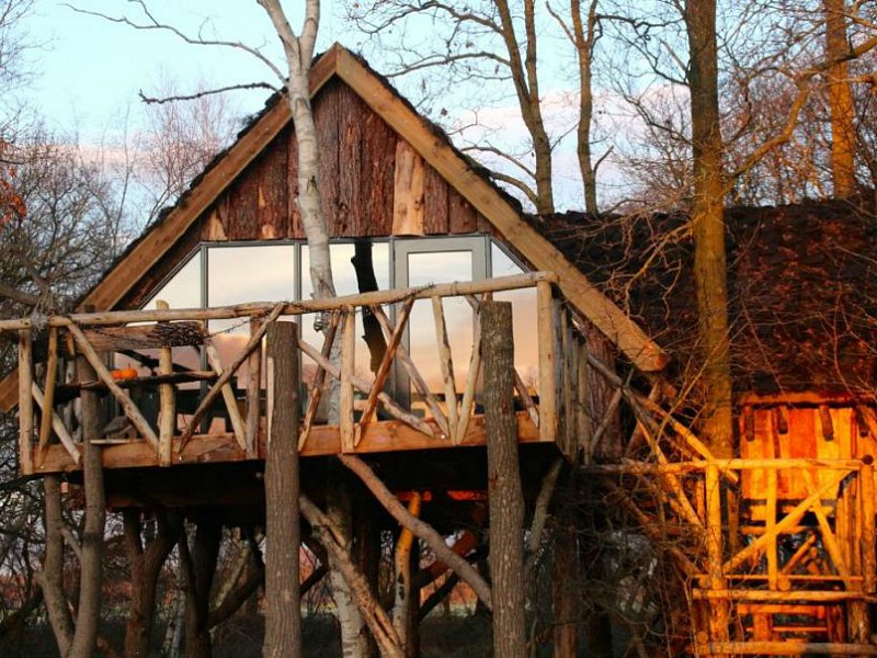 Boomhut in de natuur in Drenthe