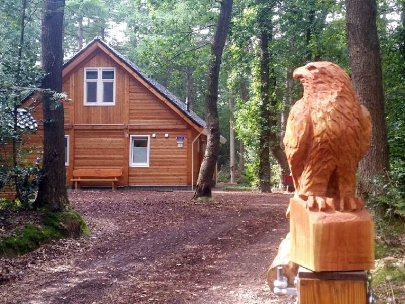 Natuurhuisje de Havik in Drenthe